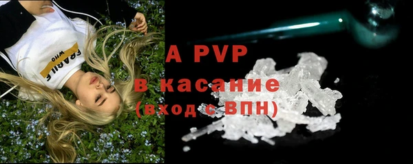 крисы Мегион