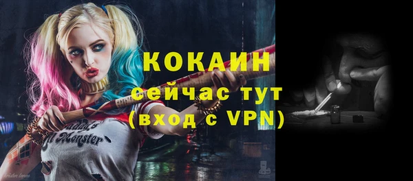 амф Михайловск