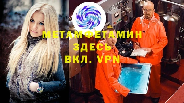 крисы Мегион