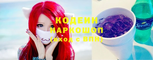 крисы Мегион