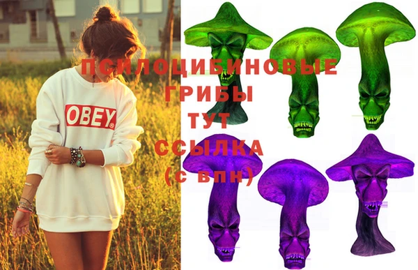 MDMA Медногорск