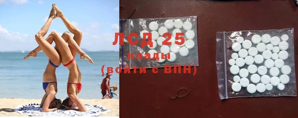 ГАЛЛЮЦИНОГЕННЫЕ ГРИБЫ Медвежьегорск