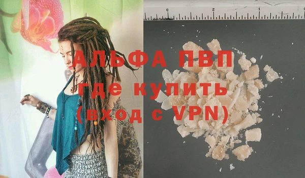 шишки Майский