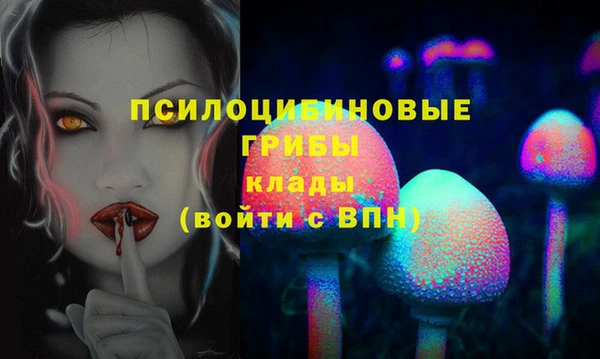 MDMA Медногорск