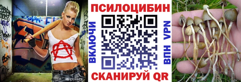 ОМГ ОМГ вход мориарти формула Галлюциногенные грибы Psilocybe Ленинск